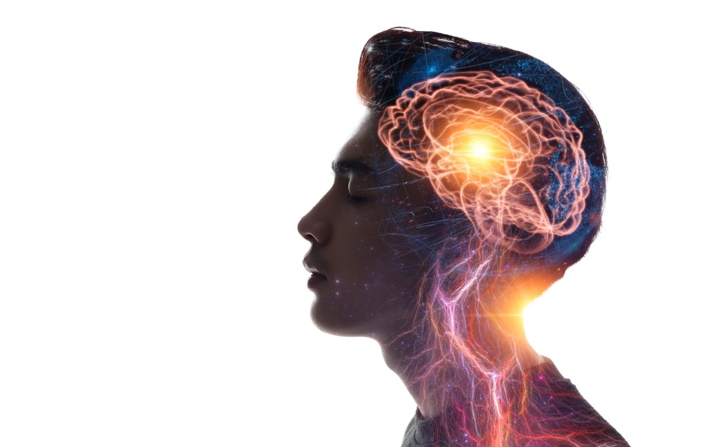 This latest research suggests that healthy levels of visceral fat are essential for the production of enzymes, proteins and molecules that support brain health.