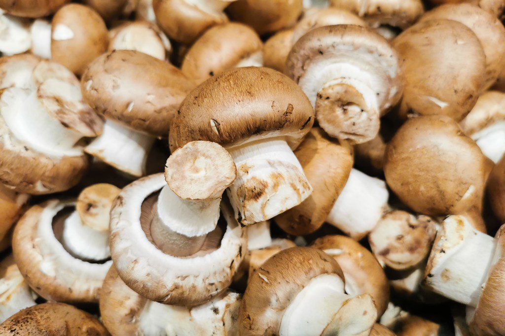 New research from McGill University in Canada reports that Beta-Glukan-a large block of fungus-can-protect lung health during the flu. A collection of Cremini mushrooms is shown here.