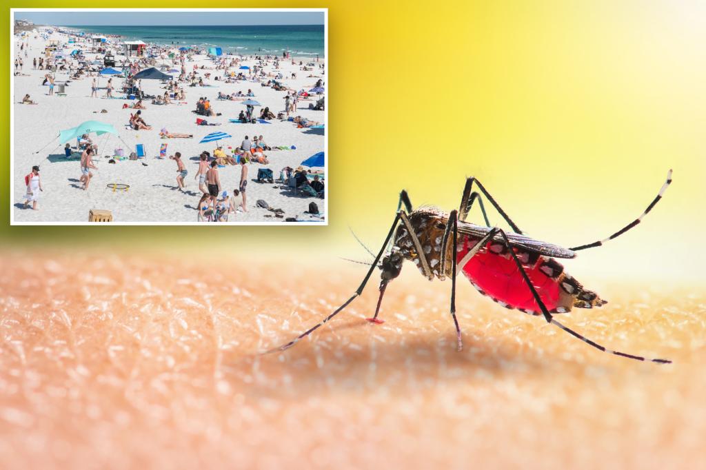 Cases of fever that grows in the popular places of spring rest: CDC