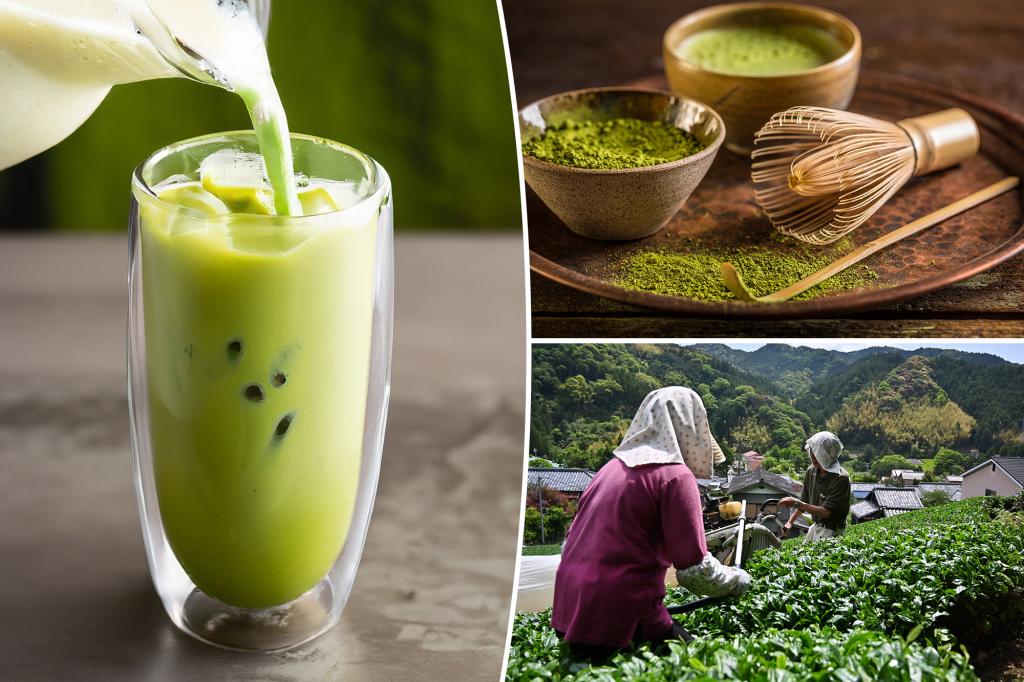 There is no end in the eye for the global deficiency of matcha - here's why it is why