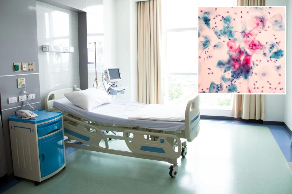 Dangerous mushrooms spreading to US hospitals have grown "fast"