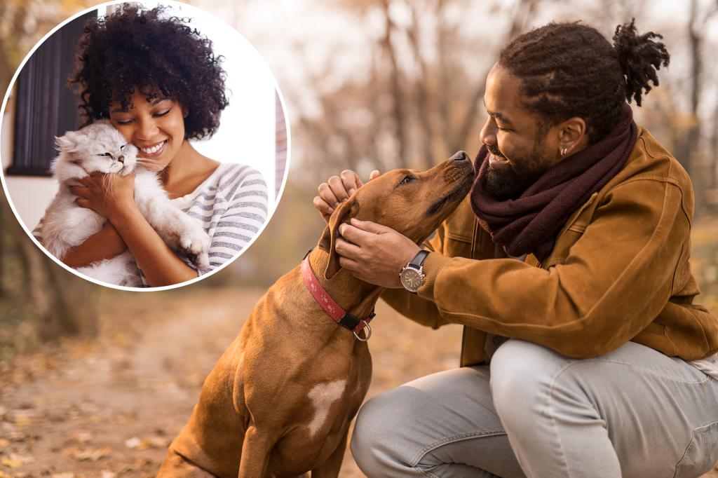 Having a pet is as good for you as marriage or an additional $ 90k