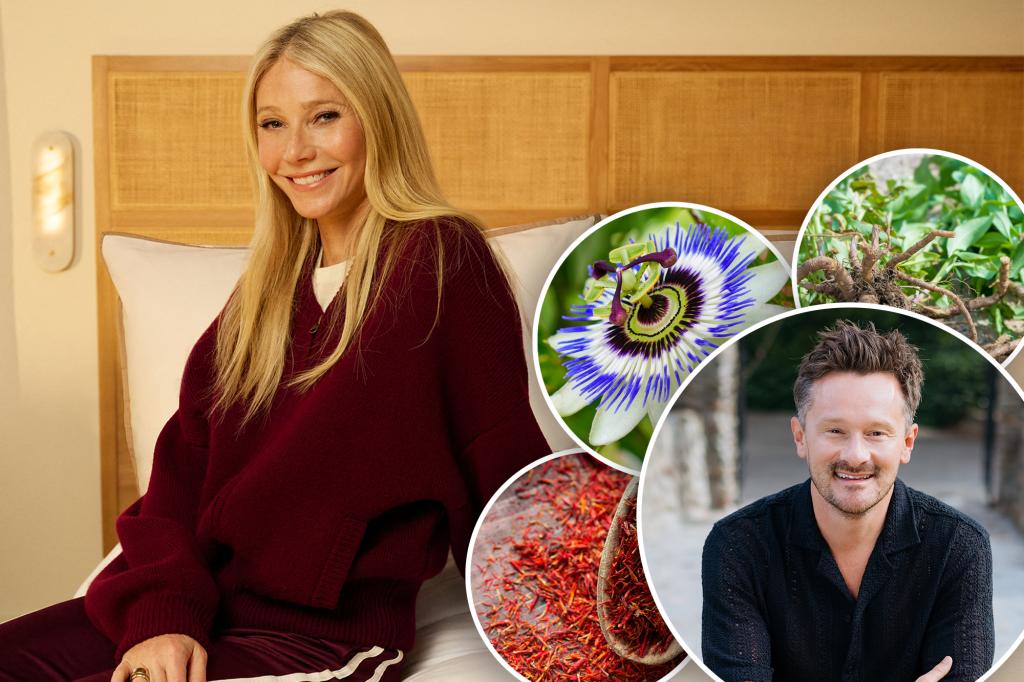 5 Favorite Gwyneth Paltrow Sleep Annexes