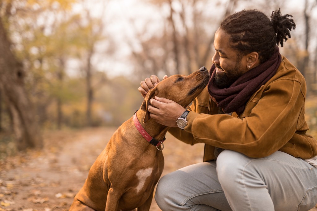Spending time with dogs makes you happy and healthy