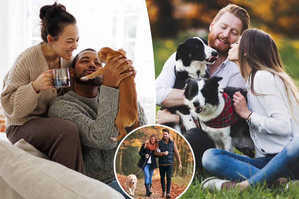 More people are choosing to have pets over children: study