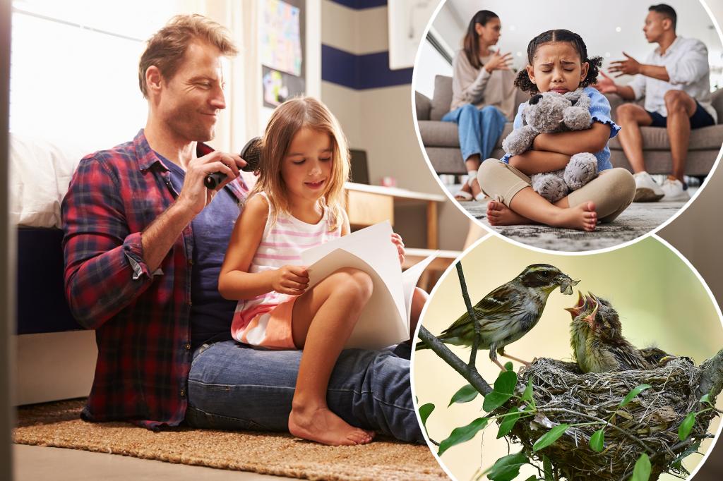'Birdnestting' is the new custody tendency for divorced parents