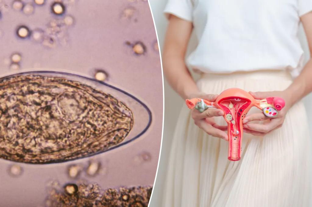This parasitic infection can increase the risk of cervical cancer